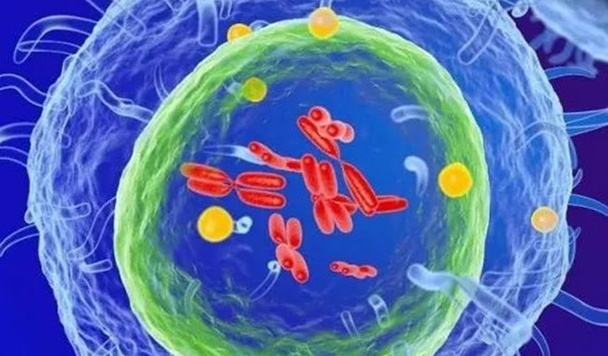  EBET易博助力 | 信诺维抗肿瘤1类新药XNW14010获批临床.png