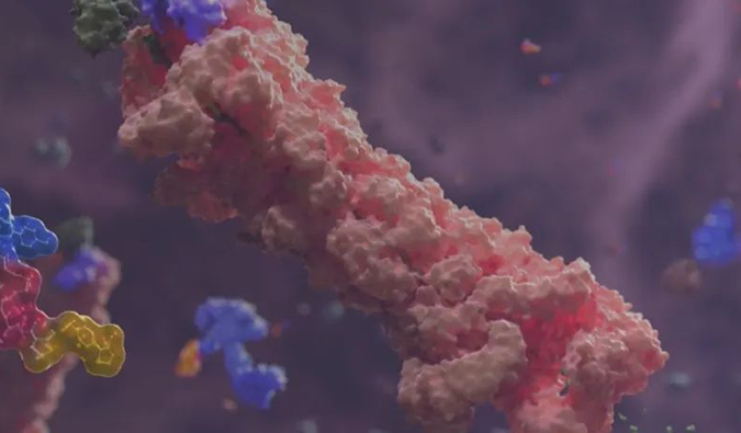 全流程DMPK服务大力相助PROTAC药物研发