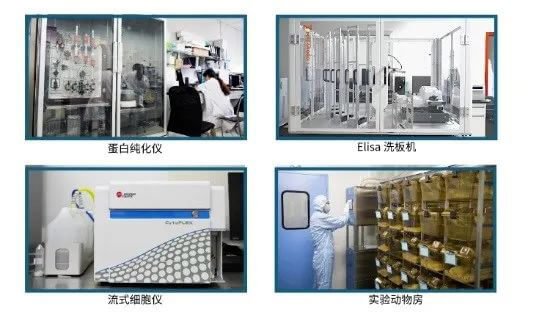 EBET易博抗体开发平台.jpg