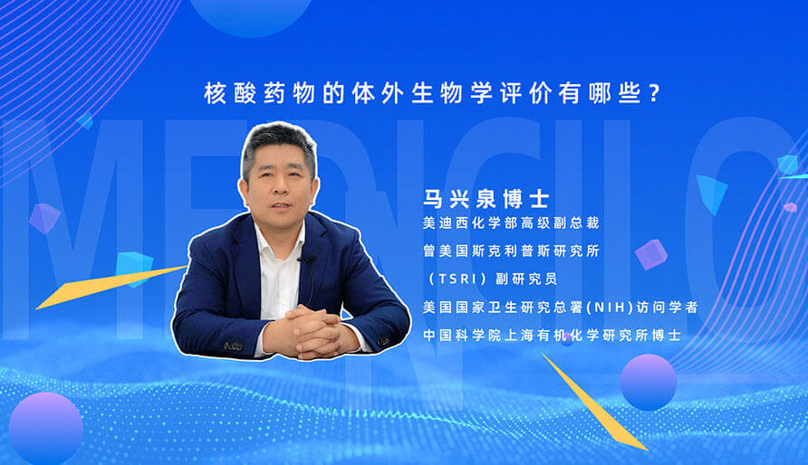 核酸药物的体外生物学评价有哪些？