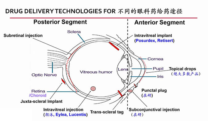 【内附回放+下半场预约】EBET易博眼科药物专题钻研会上半场精彩回首