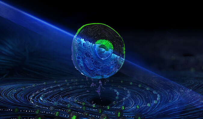 EBET易博流式细胞分选服务平台