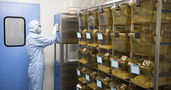 SPF级实验动物房，专业合规的实验治理系统.jpg