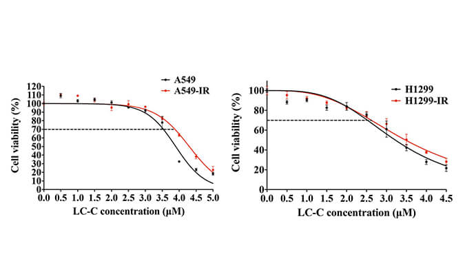 放射疗法用作肺癌的主要治疗要领，，本研究中建设抗电离辐射肺癌细胞系的放射治疗通过EBET易博举行