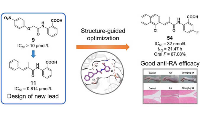 设计合成一系列DHODH抑制剂作为潜在的类风湿性枢纽炎治疗药物，，本研究中PK实验通过EBET易博举行
