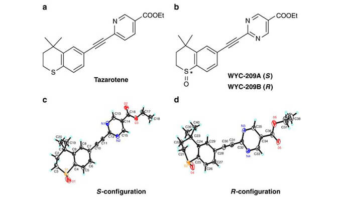 WYC-209可抑制恶性小鼠玄色素瘤肿瘤再生细胞增殖，，本研究中SPR通过EBET易博使用Biacore 8K举行