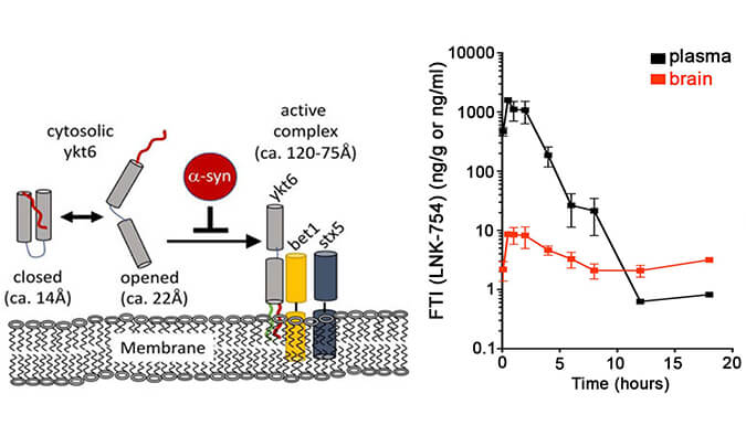 法尼基转移酶抑制剂LNK-754单次口服后即可快速穿过血脑屏障，，本研究中PK剖析通过EBET易博举行