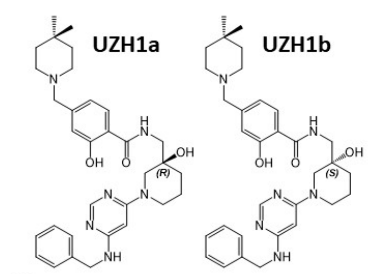 研究职员报告了一种具有细胞渗透性的选择性METTL3纳摩尔抑制剂UZH1a，作者谢谢EBET易博合成了UZH1a和UZH1b