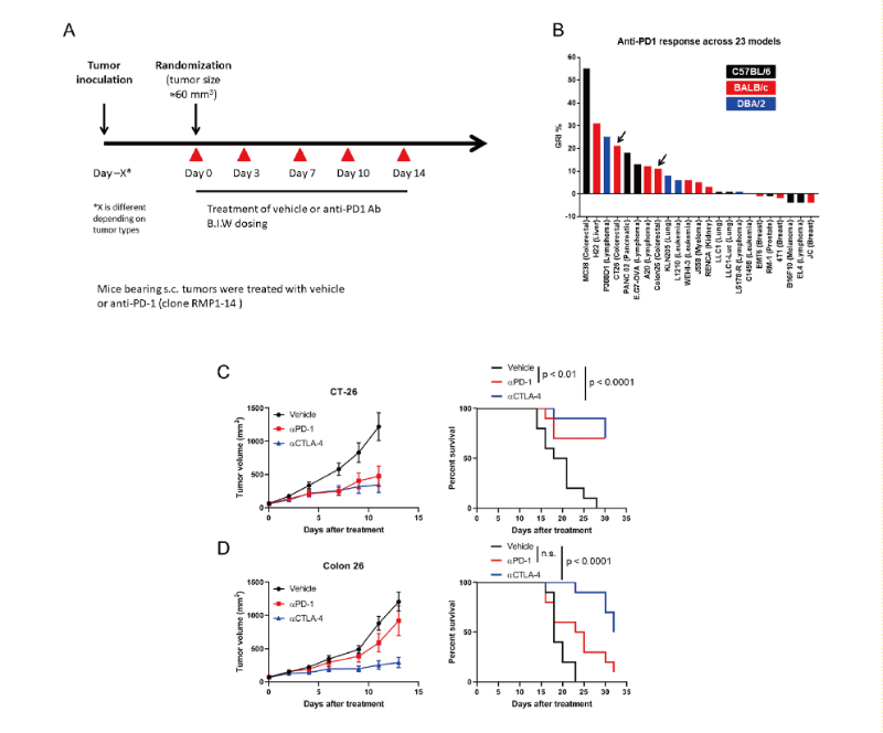 免疫检查点阻断疗法改变了癌症治疗的范式，，此研究中通过EBET易博在23 个同源肿瘤模子中举行了抗PD-1抗体的体内研究