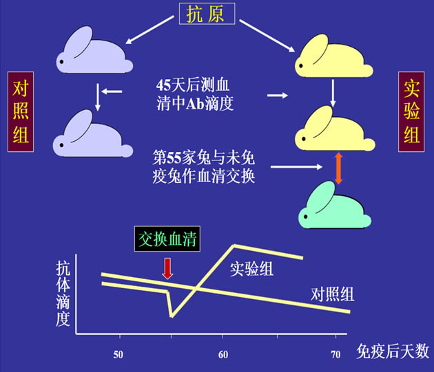 Figure-1：：：机体反抗体浓度转变的感知与反馈性自我调理.jpg