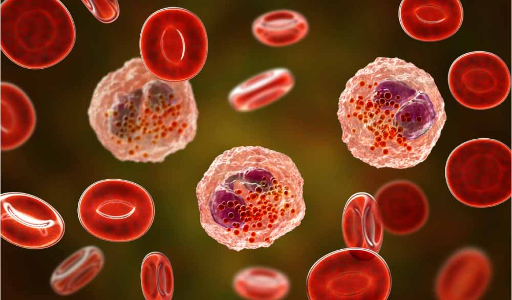 EBET易博助力 | 全球首创！！！宇耀生物STAT3双磷酸化抑制剂YY201获批临床.jpg