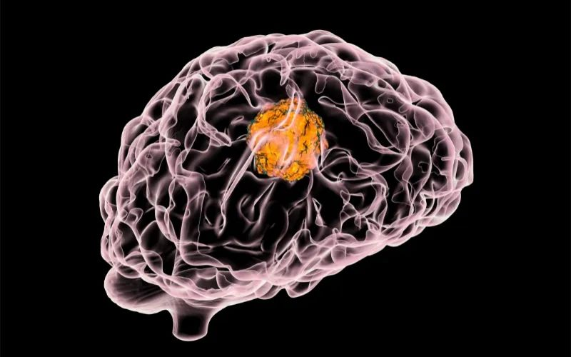 EBET易博助力 | 璧辰医药ABM-1310获美国FDA孤儿药资格认证，，用于治疗携带BRAF V600突变的脑胶质母细胞瘤患者