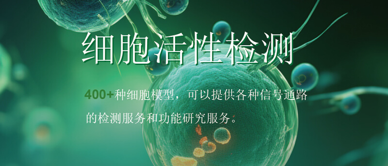 EBET易博细胞活性检测.jpg