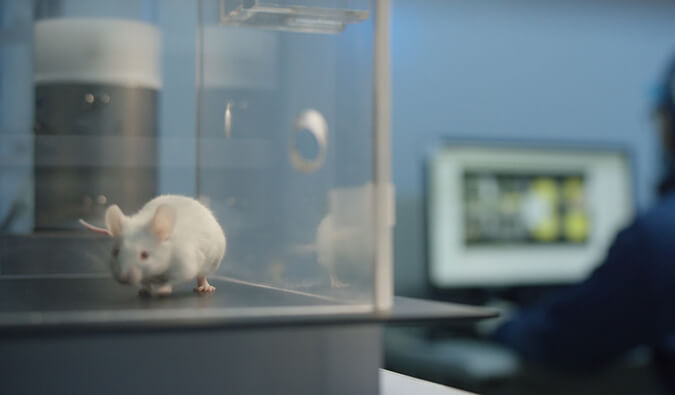 EBET易博助力开悦生命针对RNA解旋酶的小分子新药获FDA临床实验允许（IND)