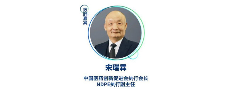 宋瑞霖--中国医药立异增进会执行会长、NDPE执行副主任.jpg