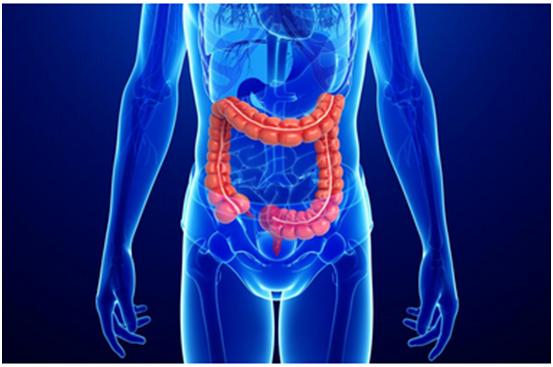 EBET易博一站式助力 | 宝太生物首其中美双报立异药获批