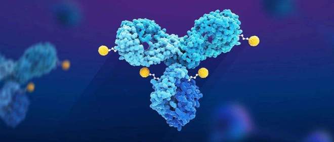 天下肿瘤日聚焦：：AACR年会引领全球肿瘤新药趋势，，，国产药引领风潮