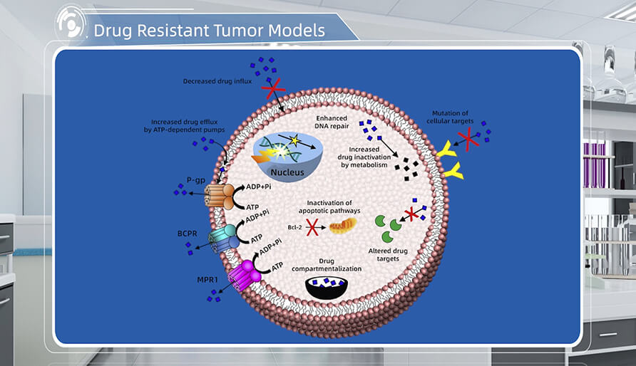 肿瘤耐药机制是什么？？