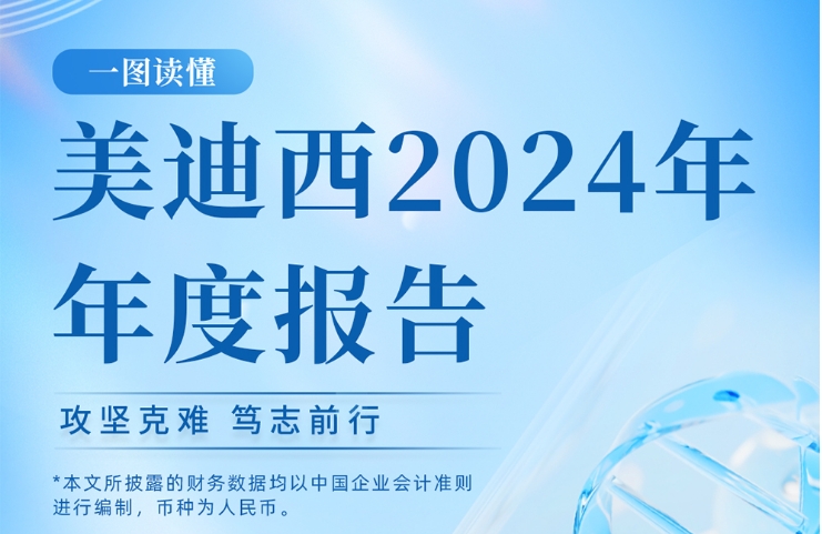 EBET易博2024年年度报告