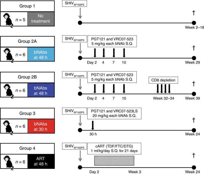 抗逆转录病毒疗法(ART)预防围产期HIV熏染，，本研究中多替拉韦钠盐和游离态均由EBET易博提供