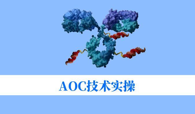 AOC手艺实操：：：偶联化学与表征剖析难题全搞定
